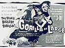 Gorilla